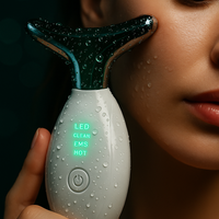 Masajeador Facial de Microcorriente